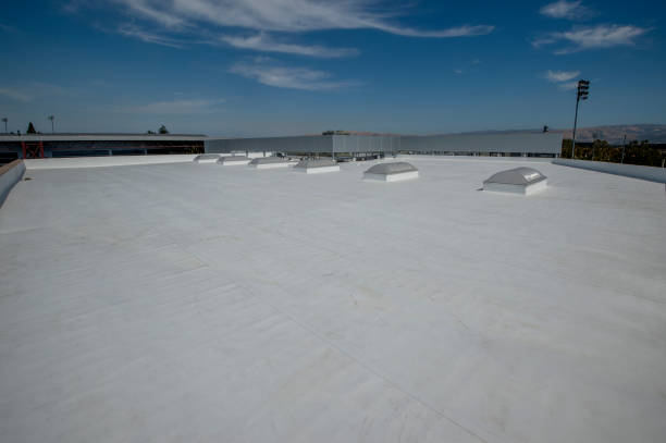 Best Skylight Installation and Repair  in Forest Oaks, NC